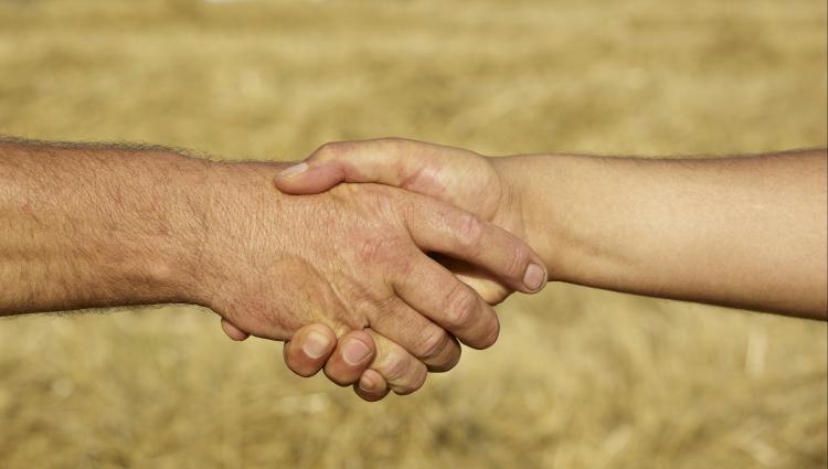 handshake in field