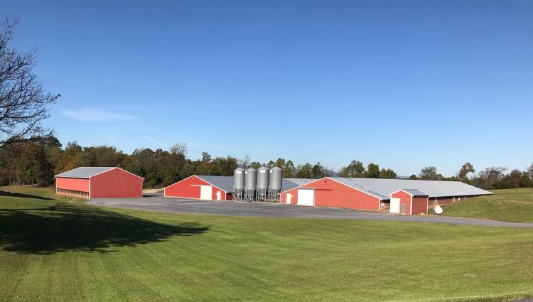 Poultry Houses