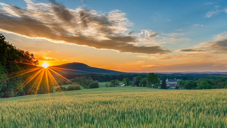 sunrise over field with mountains