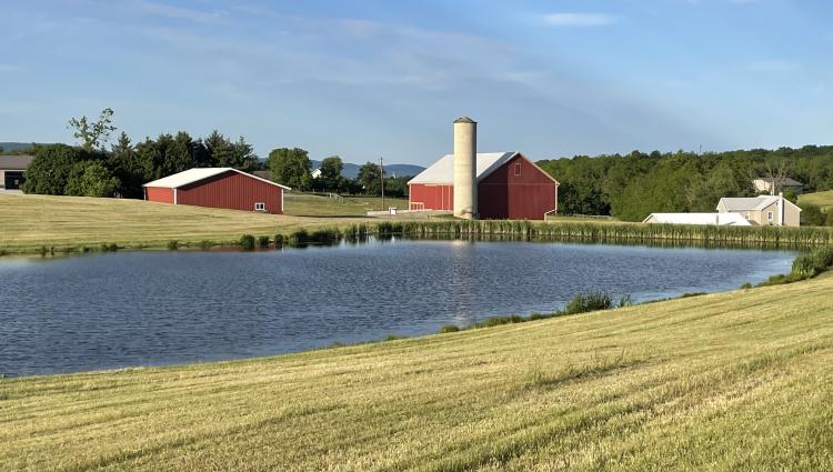 Barn by pond