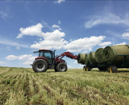 Tractor moving hay bales