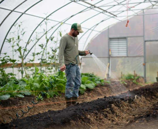 young farmer man watering seeds in greenhouse