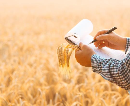 Farm Records in Field