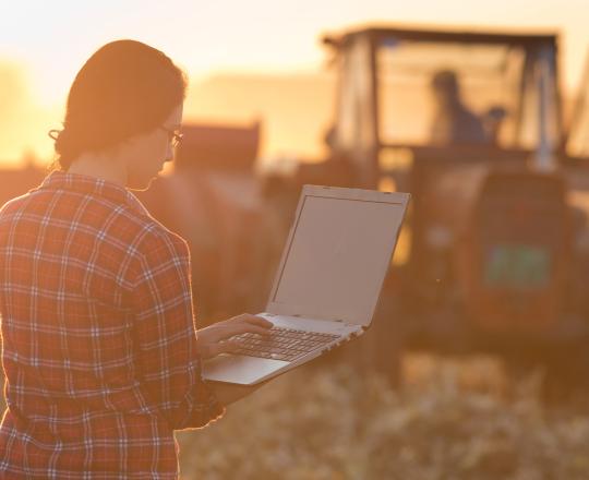 Woman on laptop in field